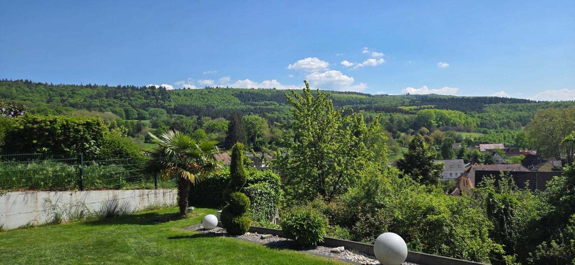 Ferienwohnung Schlossblick كيبينهايم المظهر الخارجي الصورة